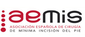 logo aemis